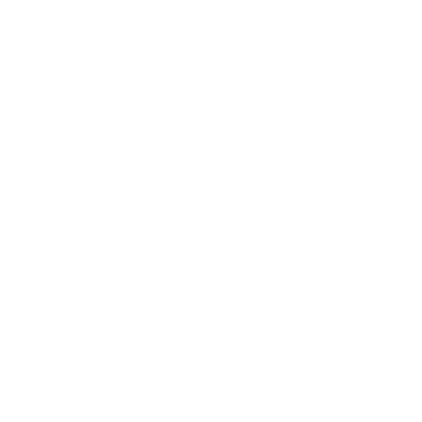 Anne Manoli artiste peintre matiériste