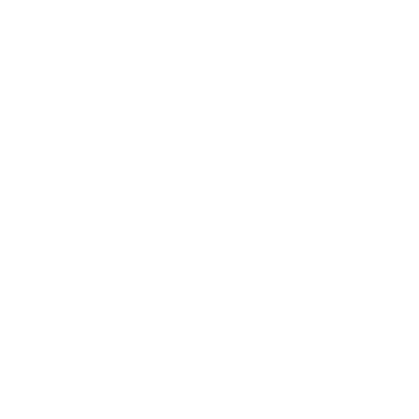 Isabelle Bousquet, accompagne la dyslexie
