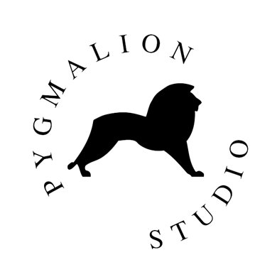 Studio Pygmalion, l'école de l'acteur